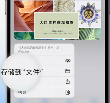 北戴河apple维修中心分享iPhone文件应用中存储和找到下载文件