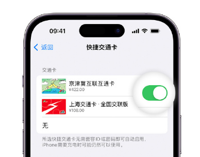 北戴河apple维修点分享iPhone上更换Apple Pay快捷交通卡手绘卡面 