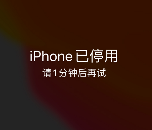 北戴河苹果手机维修分享:iPhone 显示“不可用”或“已停用”怎么办？还能保留数据吗？ 