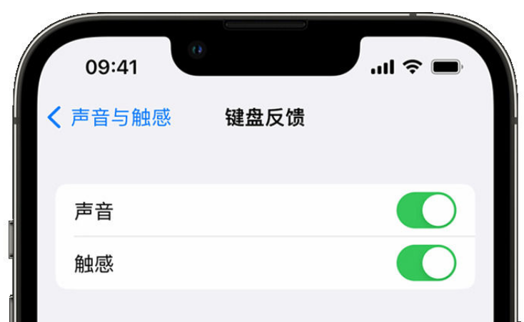 北戴河苹果手机维修分享iPhone 14触感键盘使用方法 