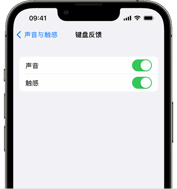 北戴河苹果14维修店分享如何在 iPhone 14 机型中使用触感键盘 