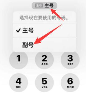 北戴河苹果14维修店分享iPhone 14 Pro Max使用副卡打电话的方法 