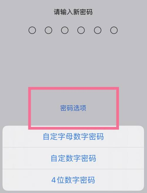 北戴河苹果14维修分享iPhone 14plus设置密码的方法 