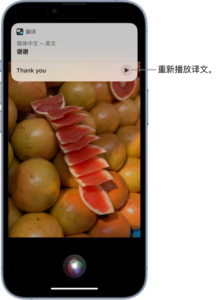 北戴河苹果14维修分享 iPhone 14 机型中使用 Siri：了解 Siri 能帮你做什么 