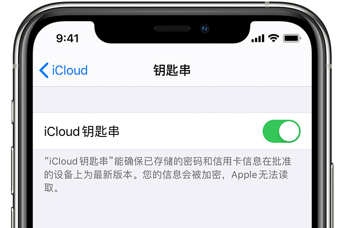 北戴河苹果手机维修分享在 iPhone 上开启 iCloud 钥匙串之后会储存哪些信息 