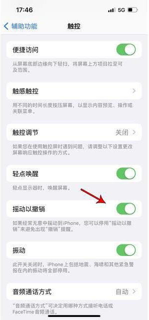 北戴河苹果手机维修分享iPhone手机如何设置摇一摇删除文字 